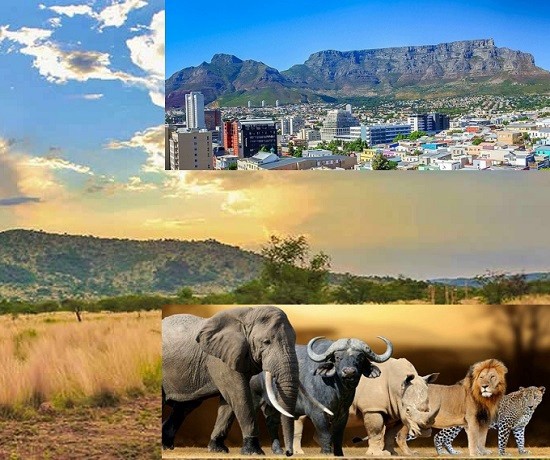 FRICA DO SUL C/SAFRIS PILANESBERG PARK - CIDADE DO CABO  E JOANESBURGO /26