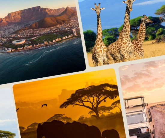 &Aacute;FRICA DO SUL C/SAF&Aacute;RIS PILANESBERG PARK - CIDADE DO CABO  E JOANESBURGO 2027